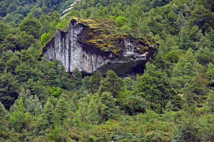 The Most Stunning National Parks of Nepal